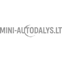 Lombardini 502 FOCS / Progress pihusti