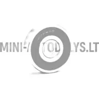 Käigukasti laager 6303 #16196 | Mini Auto Parts