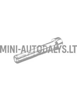 Pidurisadula polt Ligier M10x60