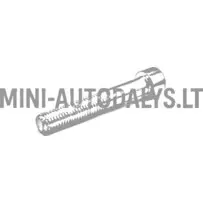 Pidurisadula polt Ligier M10x60