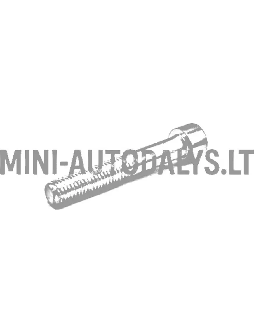 Pidurisadula polt Ligier M10x60