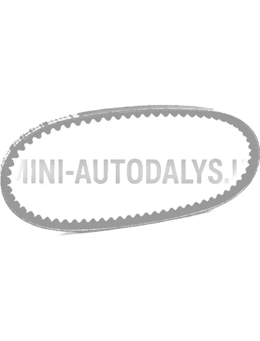 V-kujuline rihm Ligier X-Too / X-Too MAX (10x600 mm)