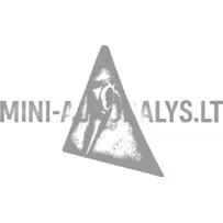 Vasara ees vasakul Aixam 2005-2008 a.