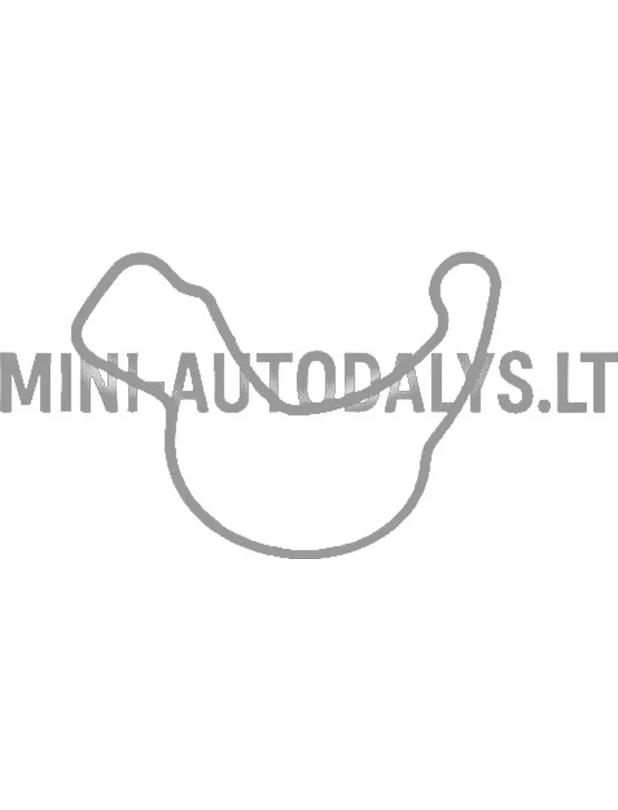 Õlipump Lombardini 502 FOCS / Progress