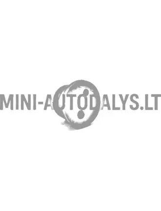 Kütusekanali tihend Lombardini 502 FOCS / Progress