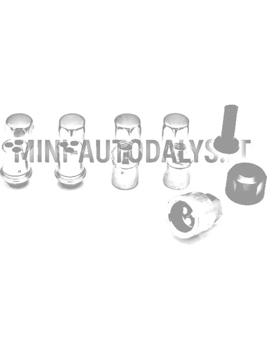 Ratta vargusvastaste poltide komplekt M10x1,5