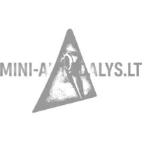 Eesmine parempoolne uksehing Aixam 2005-2008 a.