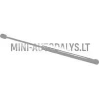 Tagaluugi amortisaator Aixam City Sensation / Emotion