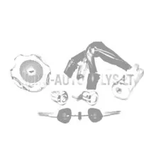 Lukukomplekt (3 juhtmega) Microcar / Ligier