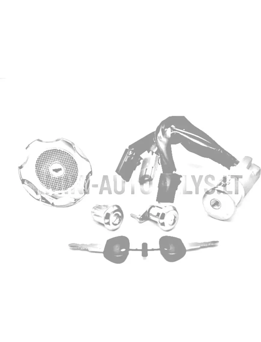 Lukukomplekt (3 juhtmega) Microcar / Ligier