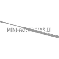 Tagaluugi amortisaator Aixam Coupé Sensation / Emotion