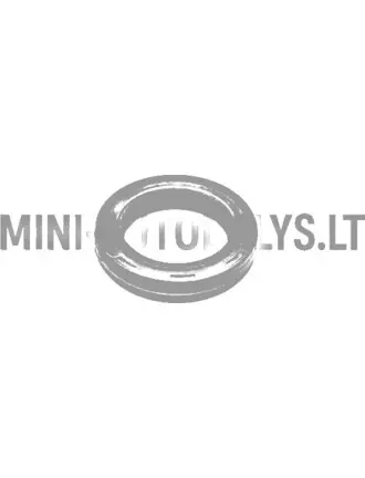 Õlitihend nukkvõlli jaotuspoolele Lombardini 502 FOCS / Progress