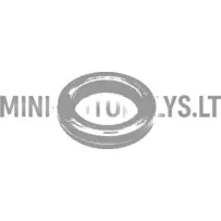 Õlitihend nukkvõlli jaotuspoolele Lombardini 502 FOCS / Progress