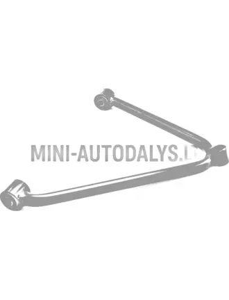 Eesmine parempoolne õõtshoob Microcar Virgo