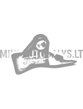 Aixam Impulsion mootorikatte hing, eesmine parem | Mini Auto Parts