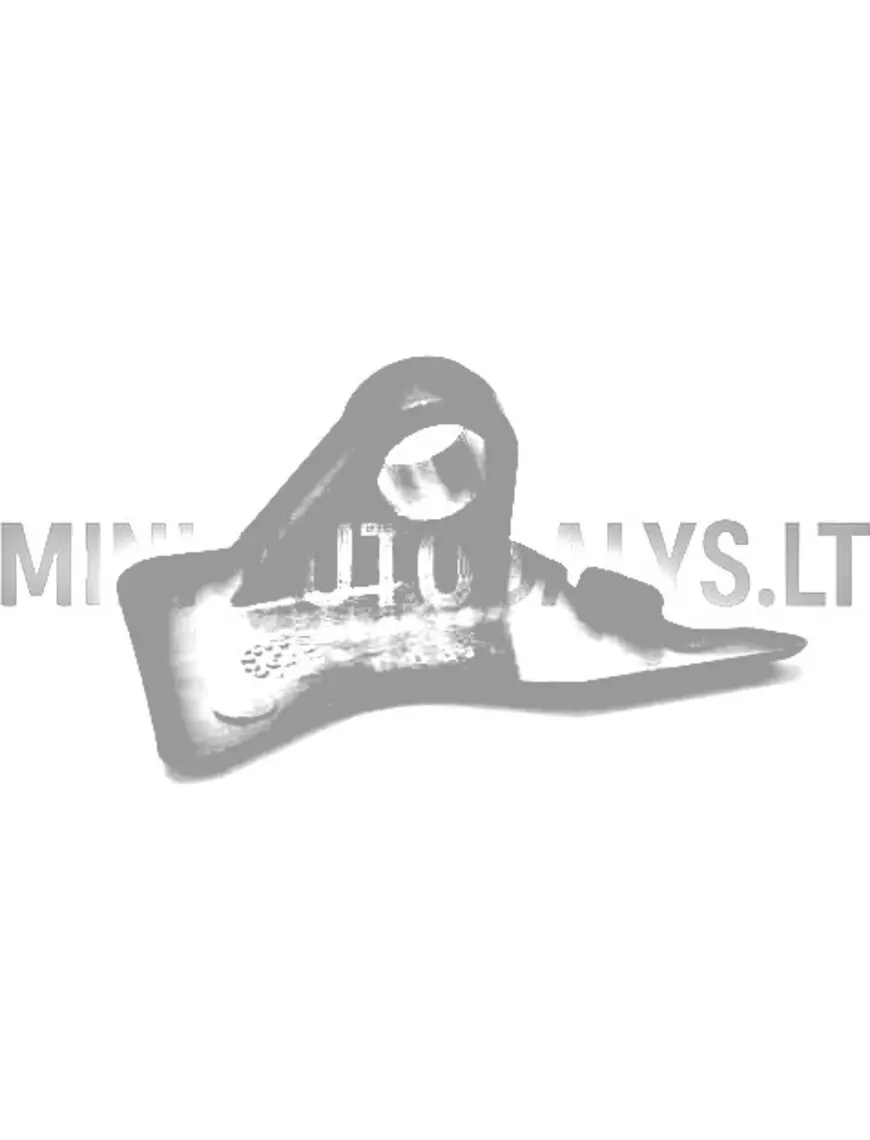 Aixam Impulsion mootorikatte hing, eesmine parem | Mini Auto Parts