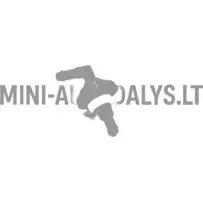 Esiklaasipuhasti üleminekuotsik "Aixam"