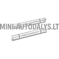 Tagumiste piduriklotside tihvtide komplekt Ligier