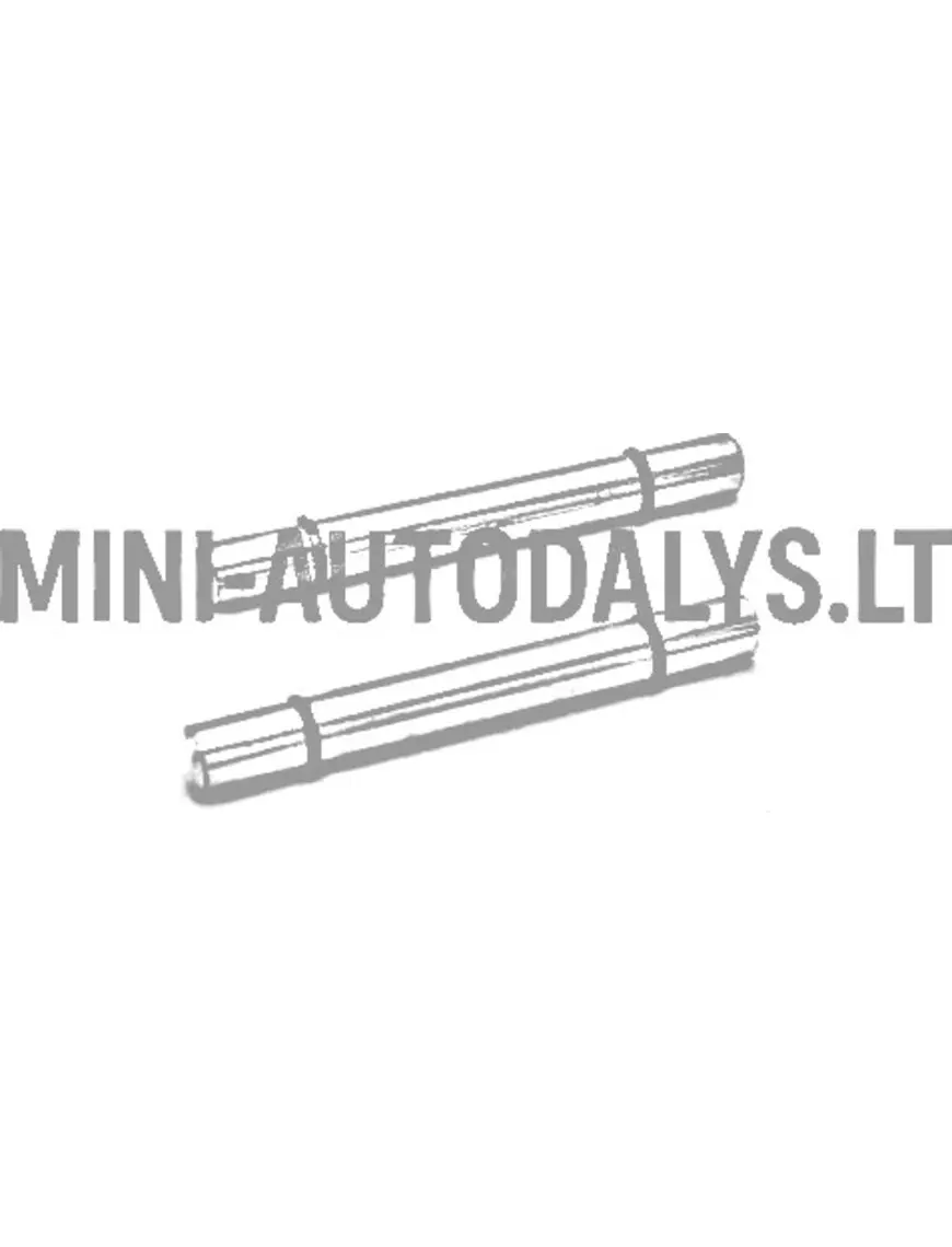 Tagumiste piduriklotside tihvtide komplekt Ligier