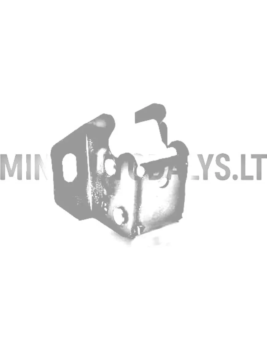 Tagaluugi lukustusmehhanism Microcar Virgo / JDM Titane