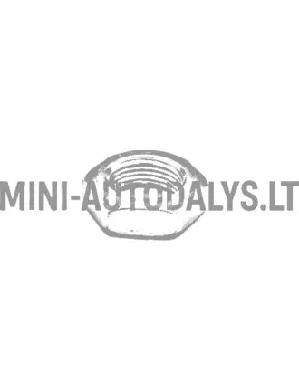 Variomatic mootori poolne mutter