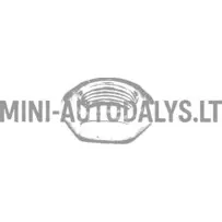 Variomatic mootori poolne mutter