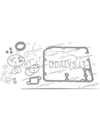 Mootori tihendite komplekt Lombardini FOCS / Progress