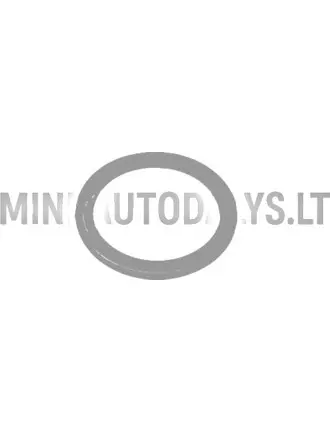 Kütuseflote tihendusrõngas Aixam 1997-2010