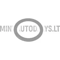 Kütuseflote tihendusrõngas Aixam 1997-2010