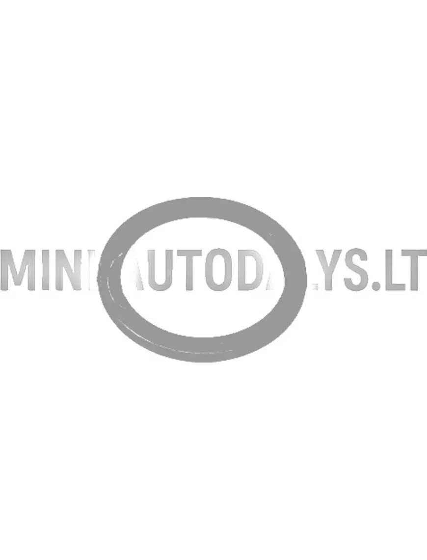 Kütuseflote tihendusrõngas Aixam 1997-2010