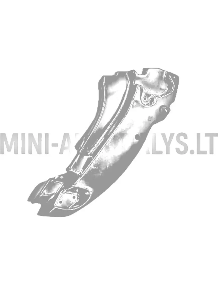 Vasakpoolne sisemine esitiib Ligier JS50 / JS50L Ph2/Ph3