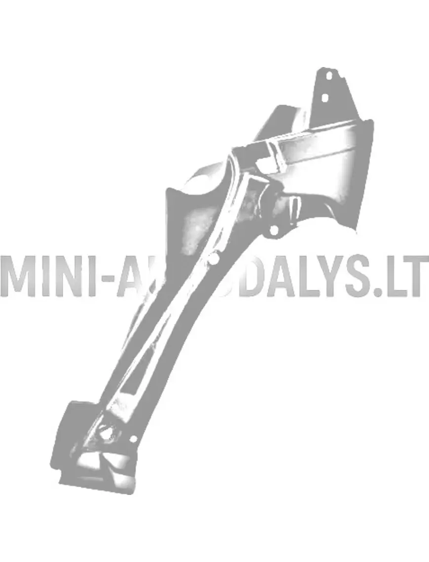 Vasakpoolne sisemine esitiib Ligier JS50 / JS50L ph1