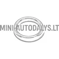 "Aixam Impulsion" väljalasketoru otsik