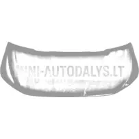 Välimine paneel mootorikate Aixam Ambition