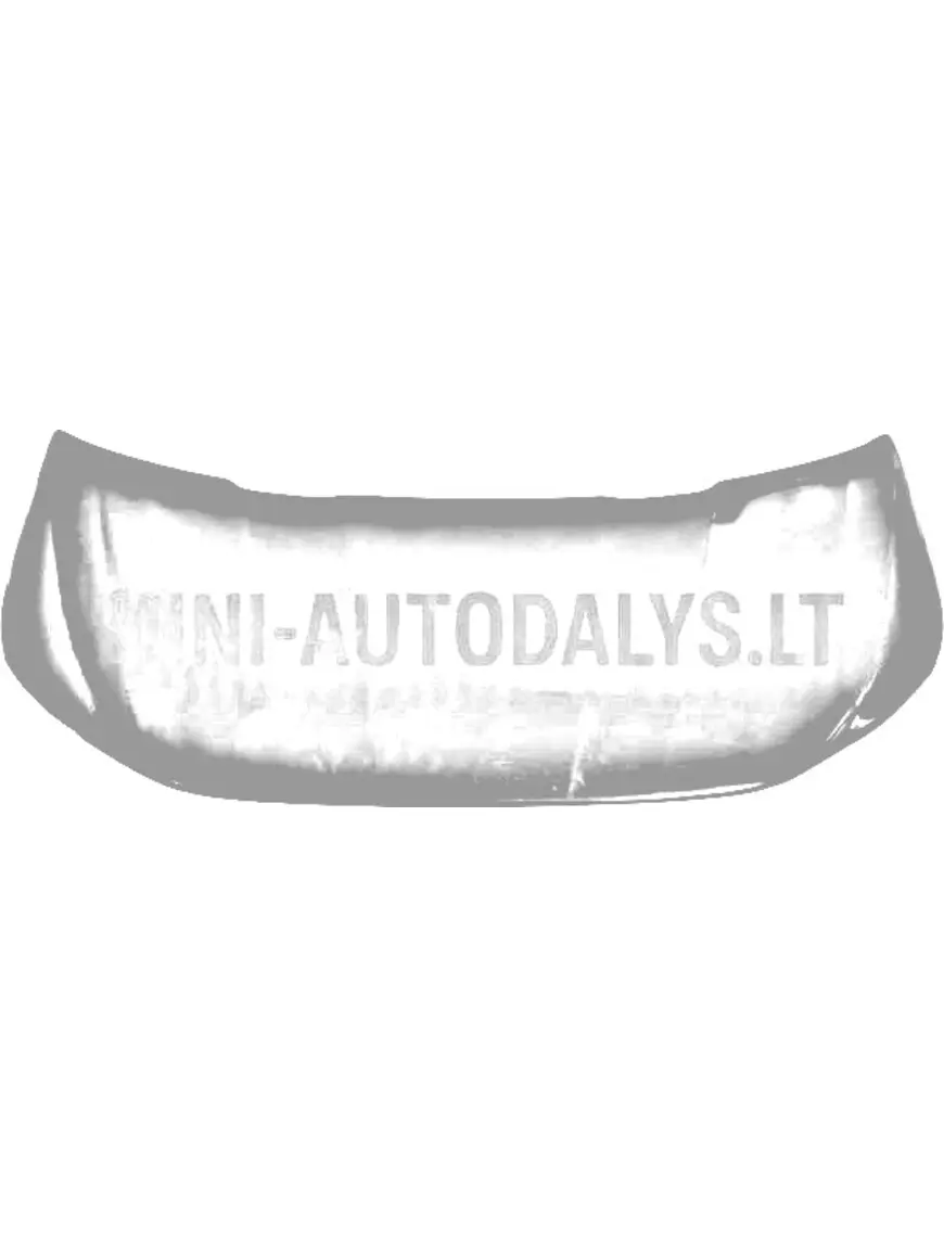 Välimine paneel mootorikate Aixam Ambition