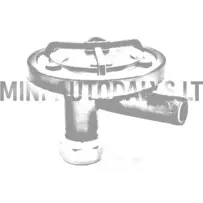 Karteri õhutusklapp Lombardini