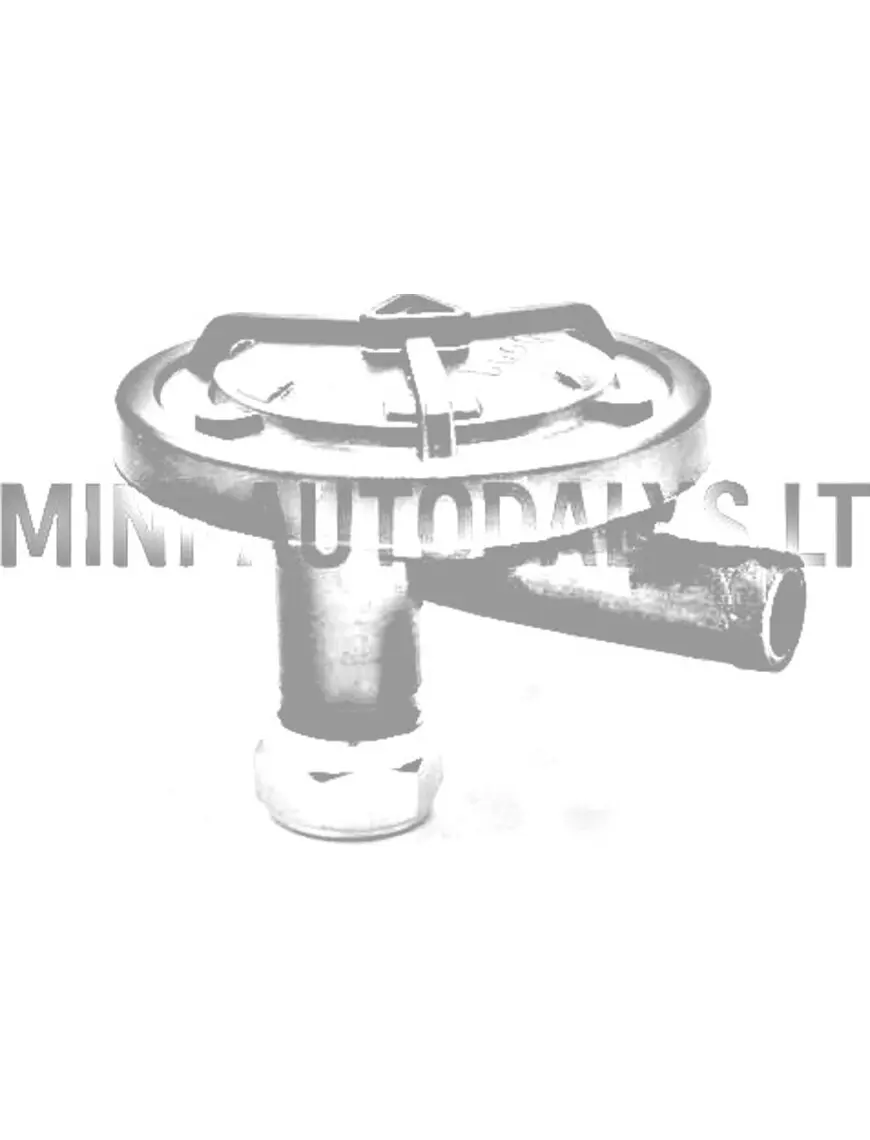 Karteri õhutusklapp Lombardini