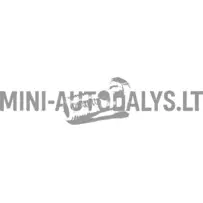 Banjo polt, kütusepump Lombardini 502 FOCS