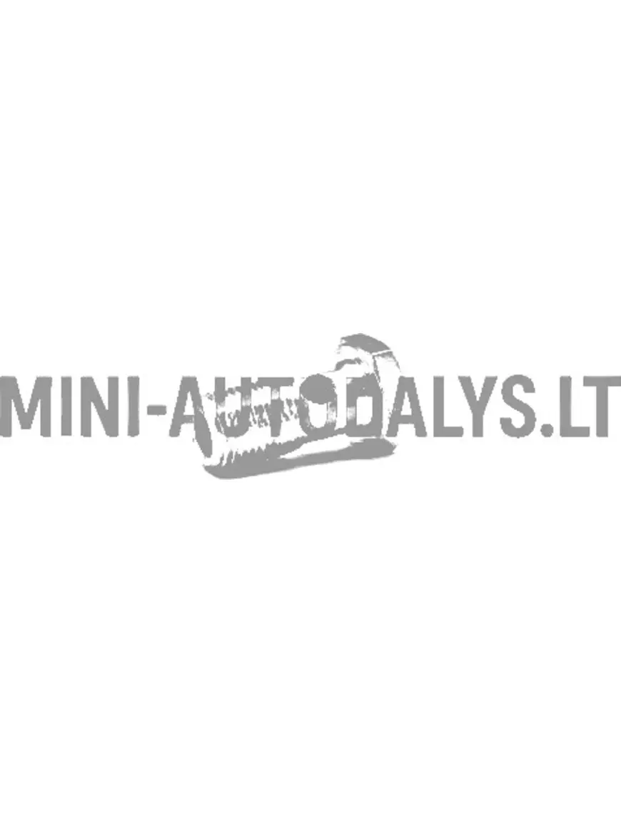 Banjo polt, kütusepump Lombardini 502 FOCS