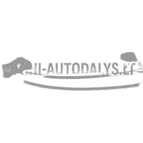 Välimine uksekäepide Ligier / Chatenet #16700 | Mini Auto Parts