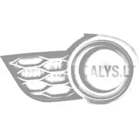 Vasakpoolne eesmise udutule kate Aixam Sensation