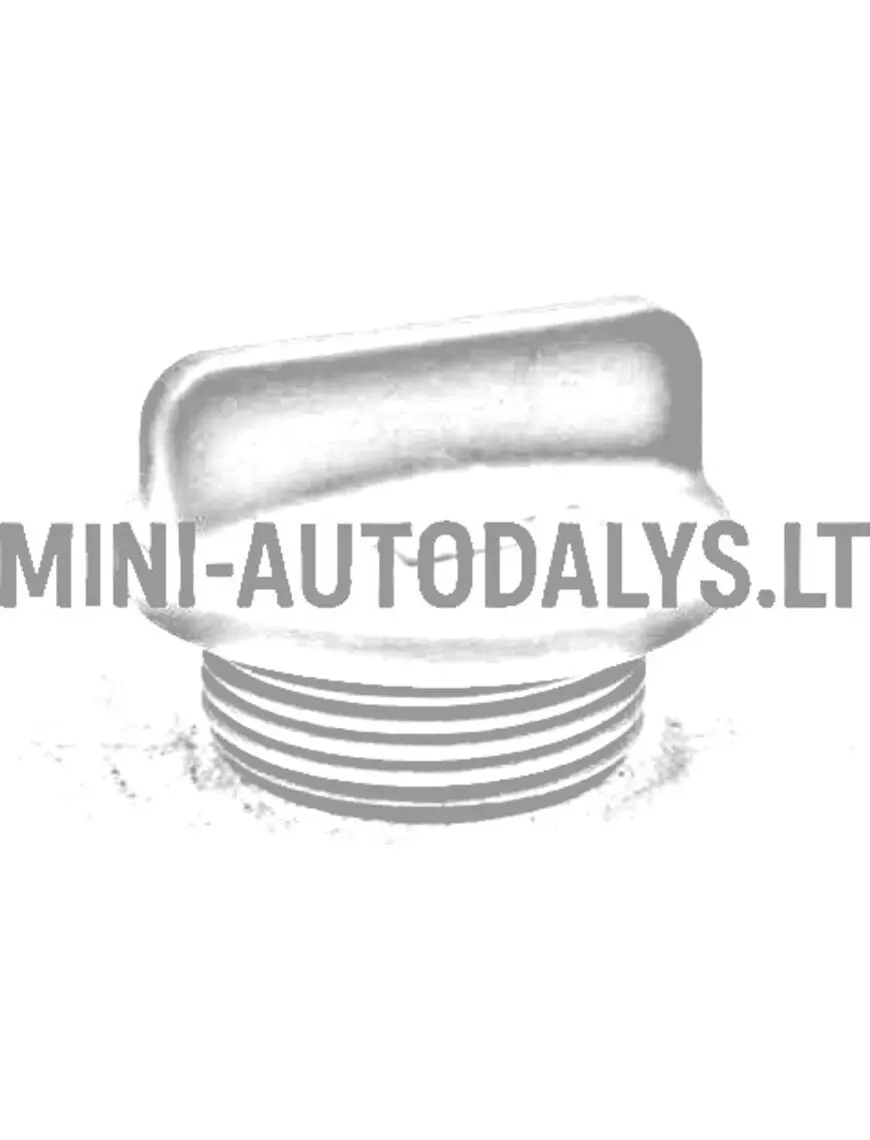 Õlitäite kork Yanmar mootor