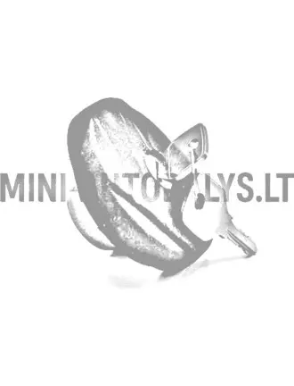 Kütusepaagi kork JDM Titane / Chatenet