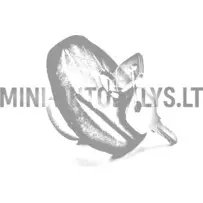 Kütusepaagi kork JDM Titane / Chatenet