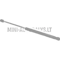 Tagaluugi amortisaator Aixam 2005-2010