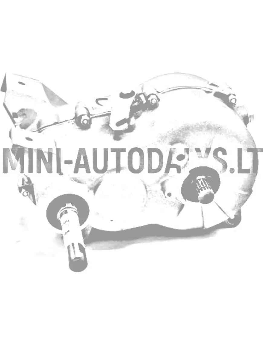 Käigukast Microcar MC1 / MC2 (1:11)