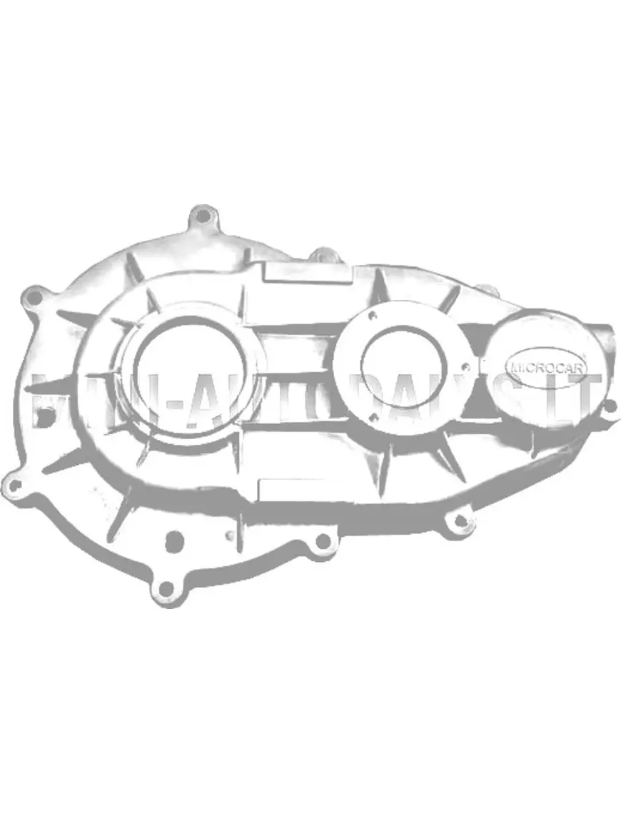 Käigukasti pool Microcar MGO