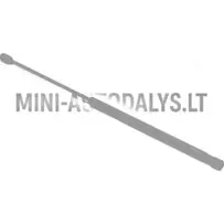 Tagaluugi amortisaator Microcar MC1 / MC2