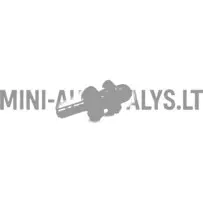 Kinnituspistik pakiruumi riiuli nöör Ligier / Microcar