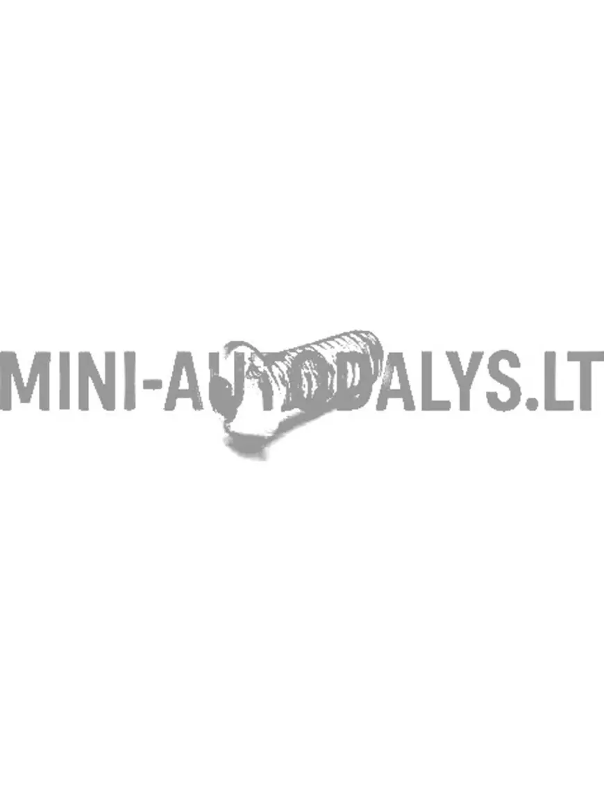 Ratta rummu kinnituskruvi - piduriketas Casalini / Chatenet / JDM